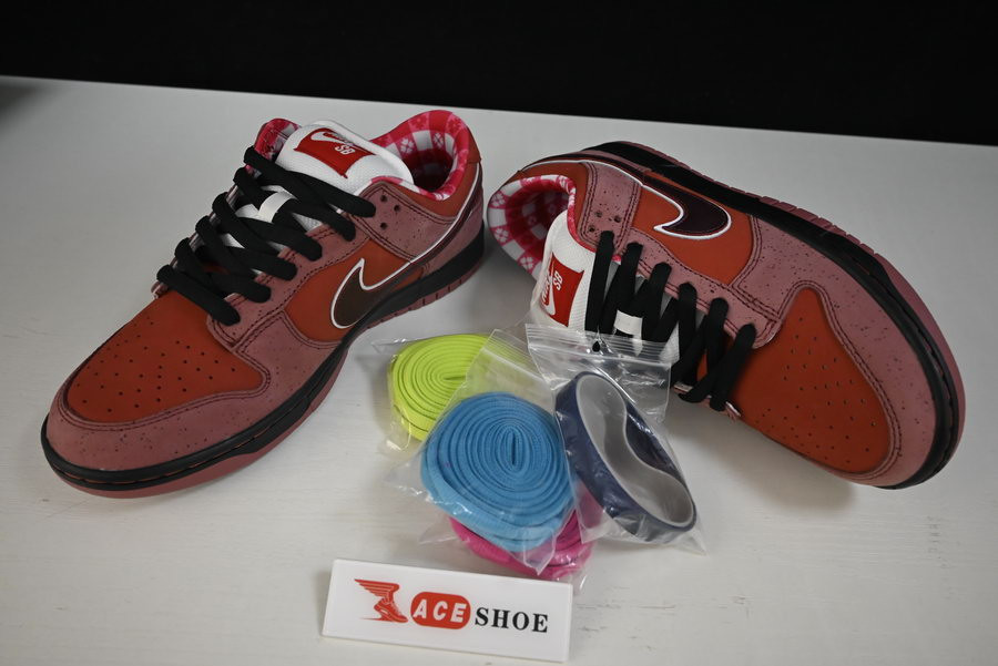 nike dunk sb low red lobster 313170-661