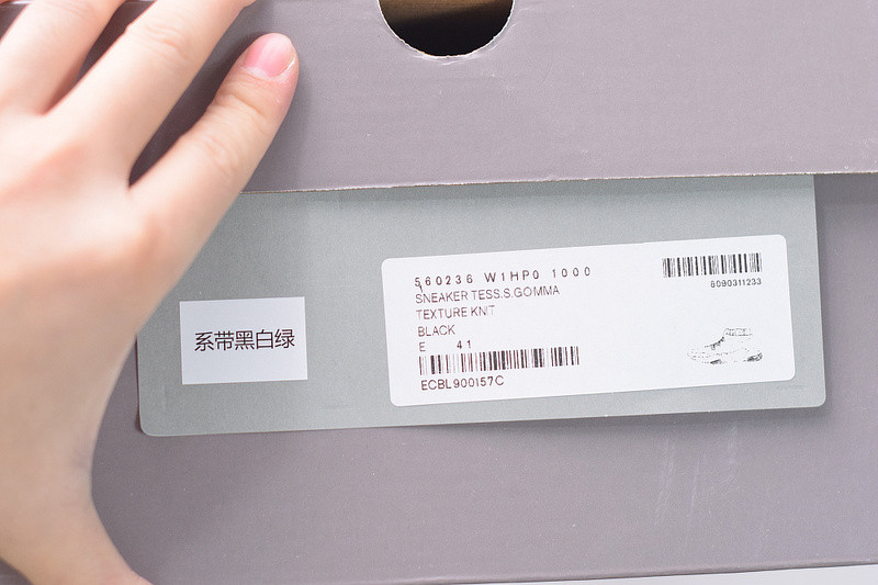 Ba*len*cia*ga speed trainer