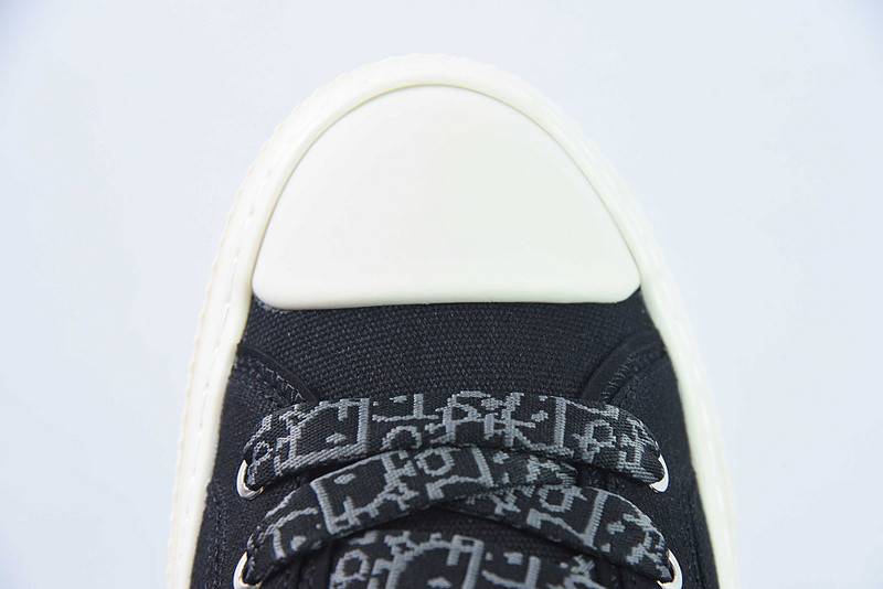 dio* x converse sneaker